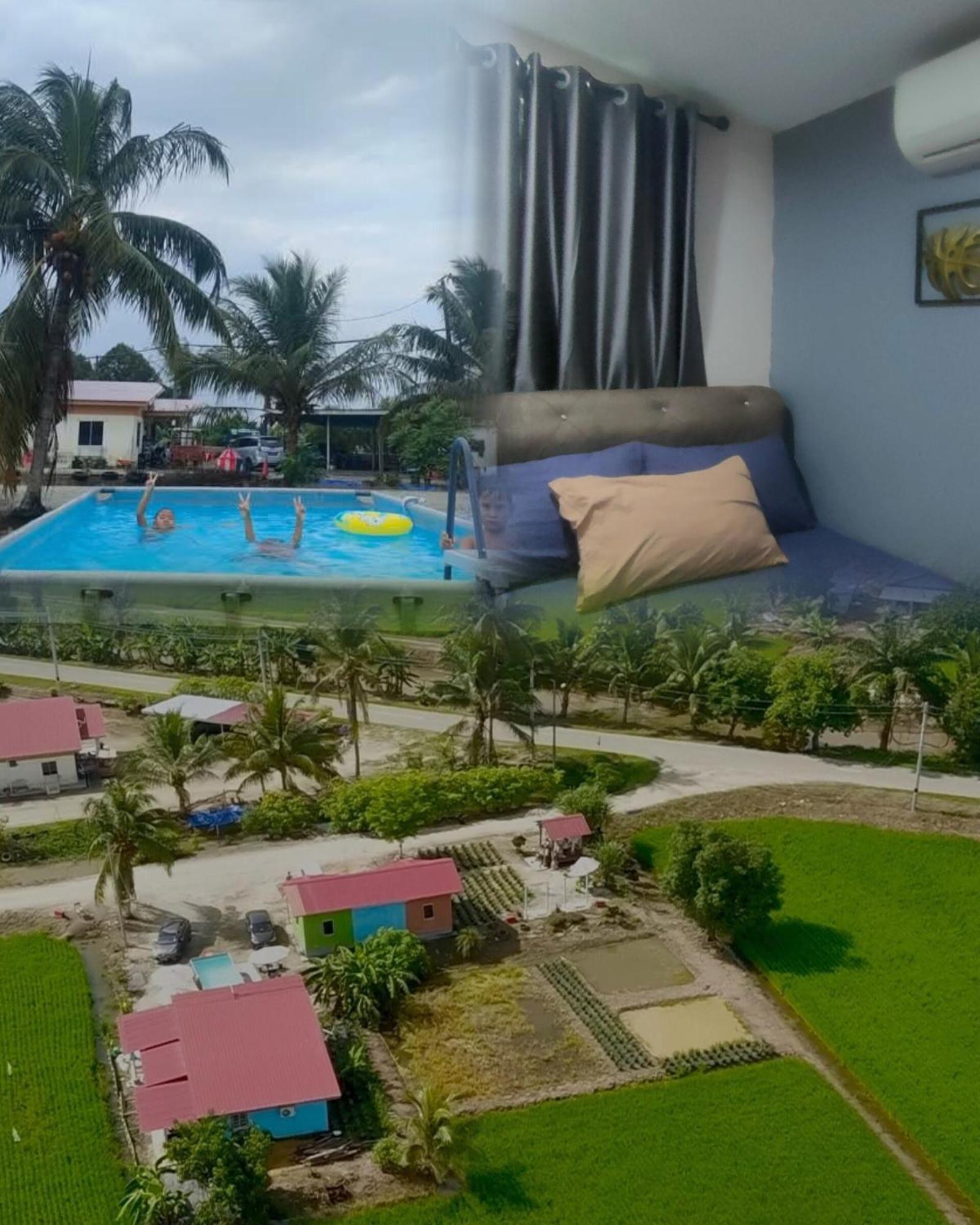 Izz Homestay Sawah Padi ! Sungai Besar Bilik gambar